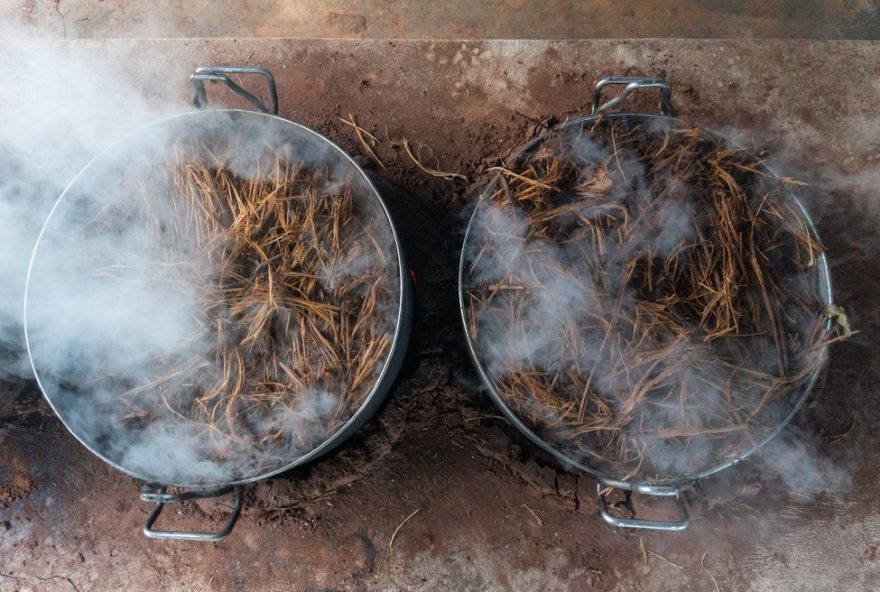 cha-de-ayahuasca3A-entenda-os-efeitos-e-a-polemica-em-torno-do-ritual-no-ceara