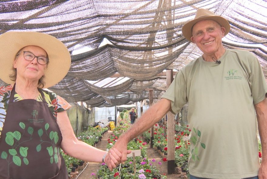 chacara-em-araucaria2C-parana3A-produtor-rural-troca-feijao-por-flores-e-conquista-clientela-com-mais-de-30-variedades.-dicas-de-cuidados-com-plantas