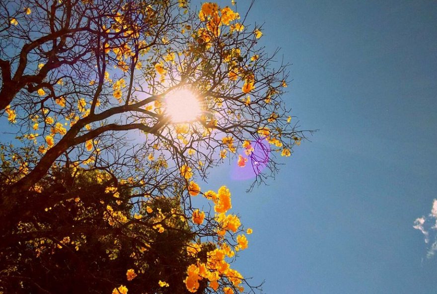 chegada-da-primavera3A-calor-e-chuvas-isoladas-no-df-nesta-segunda-feira-22-3F