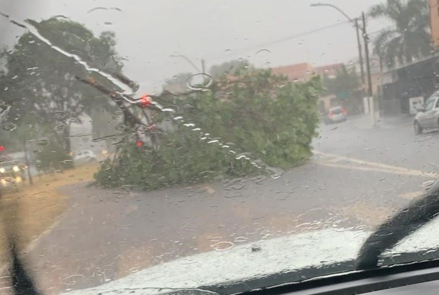 chuva-causa-alagamentos-e-queda-de-arvores-na-regiao-de-campinas3A-alerta-para-medidas-preventivas-e-solidariedade