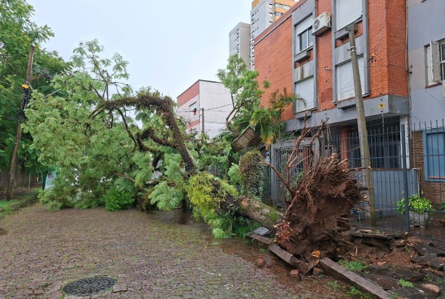 chuva-causa-queda-de-arvores-e-transtornos-no-rio-grande-do-sul-neste-sabado3A-alerta-da-defesa-civil chuva-causa-queda-de-arvores-e-transtornos-no-rio-grande-do-sul-neste-sabado3A-alerta-da-defesa-civil
