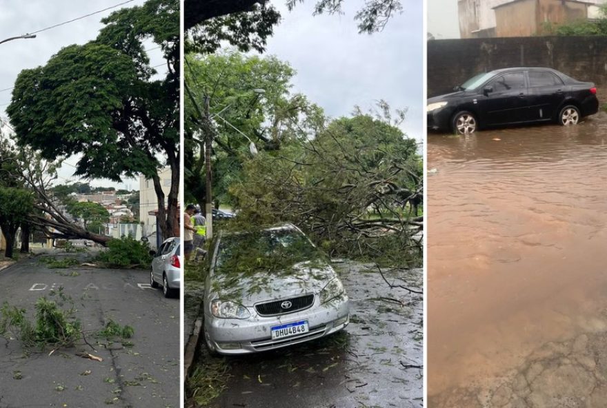 chuva-de-granizo-causa-estragos-em-campinas-e-regiao3A-queda-de-arvores2C-alagamentos-e-feridos