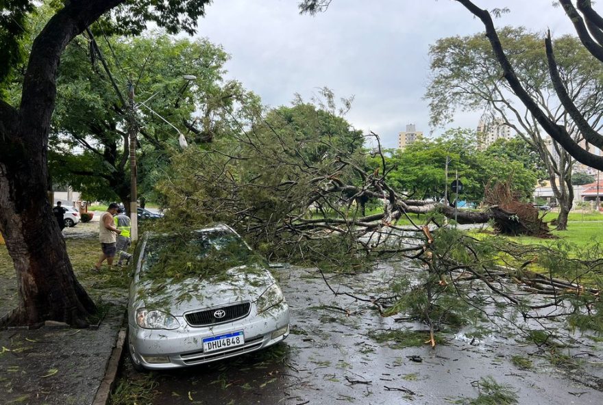 chuva-de-granizo-e-quedas-de-arvores-em-campinas3A-bosque-fechado-apos-danos-nas-areas-urbanas