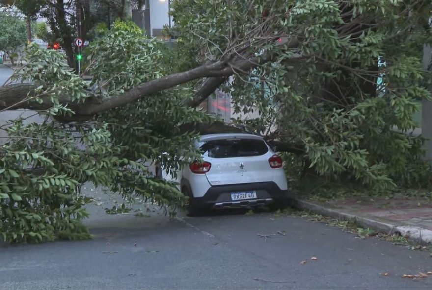 chuva-e-ventos-fortes-causam-quedas-de-arvores-em-belo-horizonte3A-diario-do-estadobao-dao.-aviso-de-perigo-emitido-pelo-inmet.-danos-na-savassi-e-no-betania