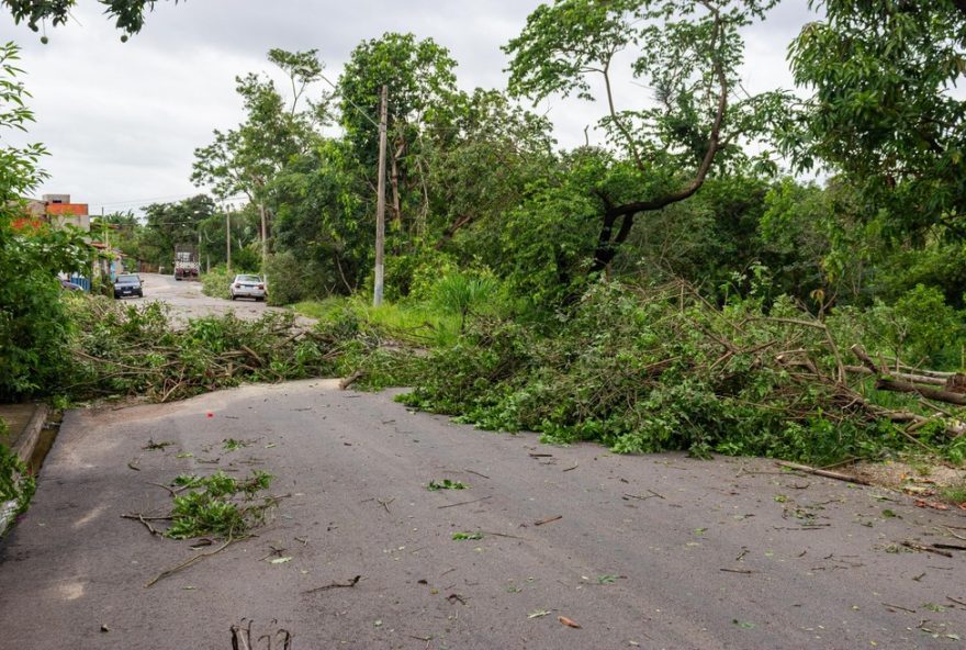 chuva-em-capivari-provoca-quedas-de-arvores-e-destelhamentos-de-casas chuva-em-capivari-provoca-quedas-de-arvores-e-destelhamentos-de-casas