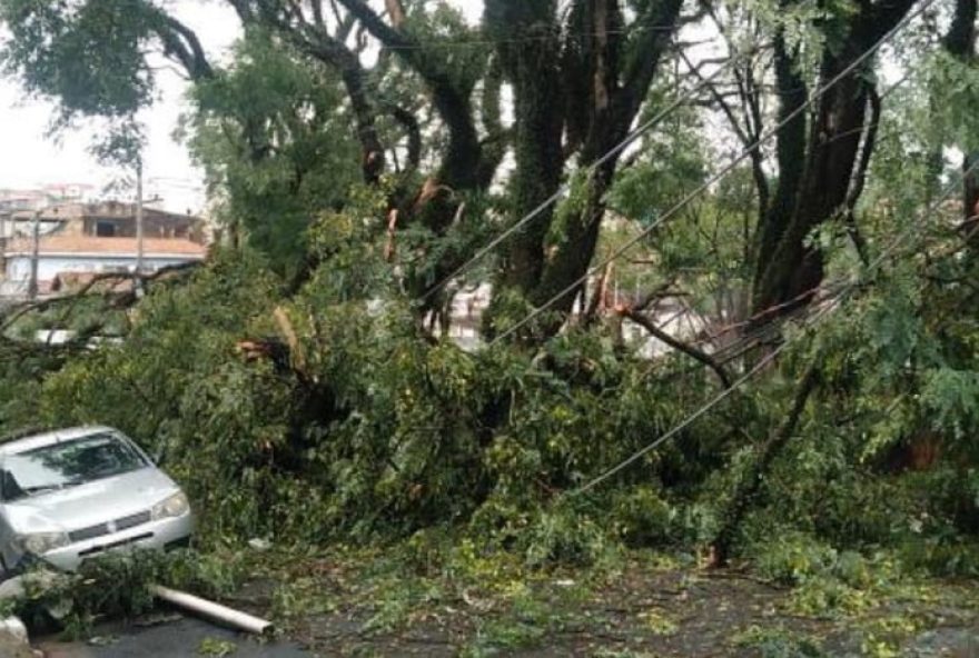 chuva-em-de3A-pracas-e-vias-destruidas-por-queda-de-arvores-e-postes