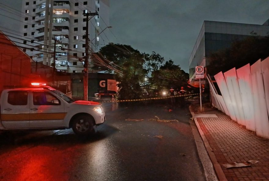 chuva-forte-causa-alagamentos-e-queda-de-arvore-no-alto-tiete3A-confira-as-medidas-de-seguranca chuva-forte-causa-alagamentos-e-queda-de-arvore-no-alto-tiete3A-confira-as-medidas-de-seguranca