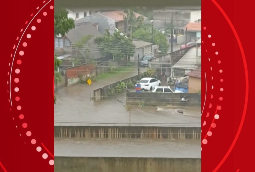 chuva-forte-causa-alagamentos-e-queda-de-arvores-em-curitiba3A-balanco-dos-estragos.-medidas-de-seguranca-e-prevencao-sao-reforcadas-pela-prefeitura chuva-forte-causa-alagamentos-e-queda-de-arvores-em-curitiba3A-balanco-dos-estragos.-medidas-de-seguranca-e-prevencao-sao-reforcadas-pela-prefeitura