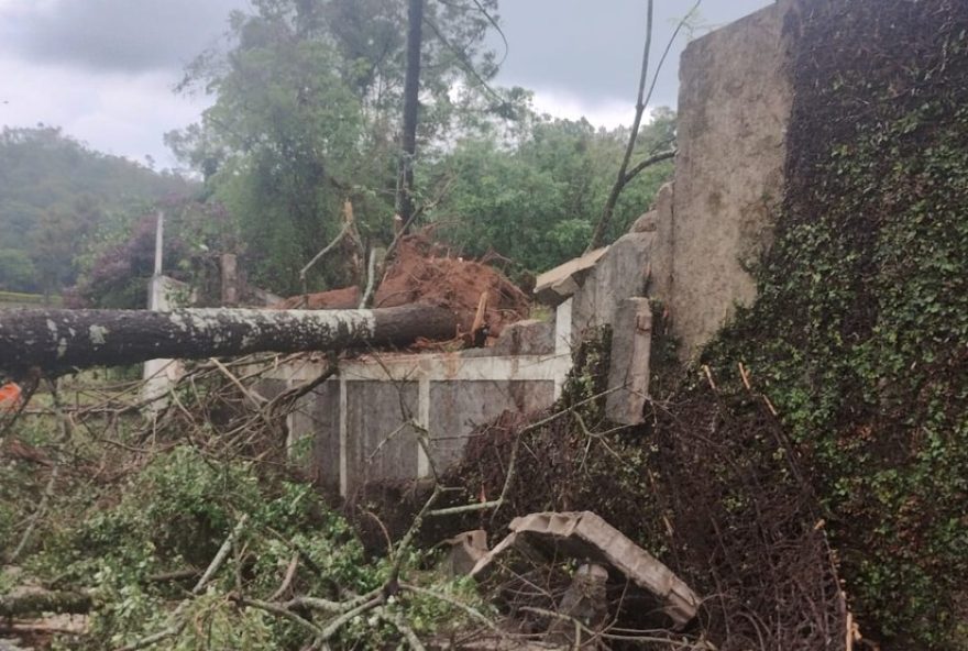 chuva-forte-e-ventania-causam-queda-de-arvores-e-falta-de-energia-em-serra-negra3A-sem-vitimas.-equipes-atuam-no-restabelecimento-da-energia chuva-forte-e-ventania-causam-queda-de-arvores-e-falta-de-energia-em-serra-negra3A-sem-vitimas.-equipes-atuam-no-restabelecimento-da-energia