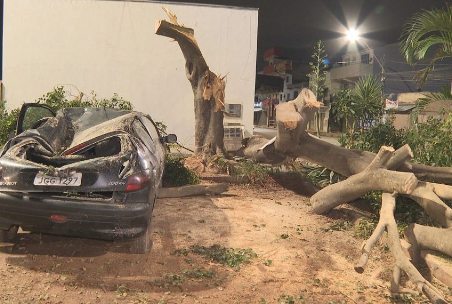 chuva-forte-no-df-causa-queda-de-telhados-e-arvores3B-veja-as-imagens chuva-forte-no-df-causa-queda-de-telhados-e-arvores3B-veja-as-imagens