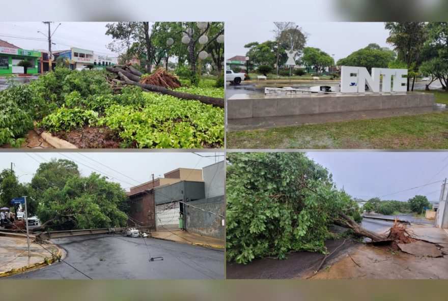 chuva-intensa-causa-estragos-e-mortes-na-regiao-de-presidente-prudente