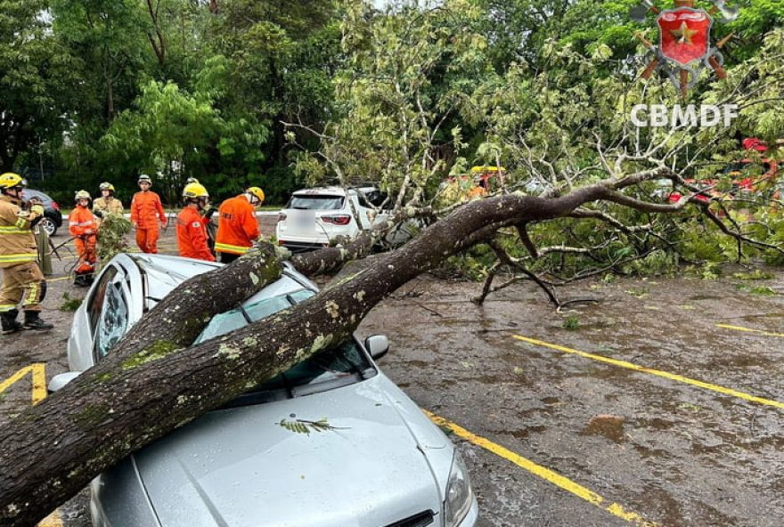 chuva-no-df-derruba-arvores-e-destroi-carros3B-motorista-escapa-ileso