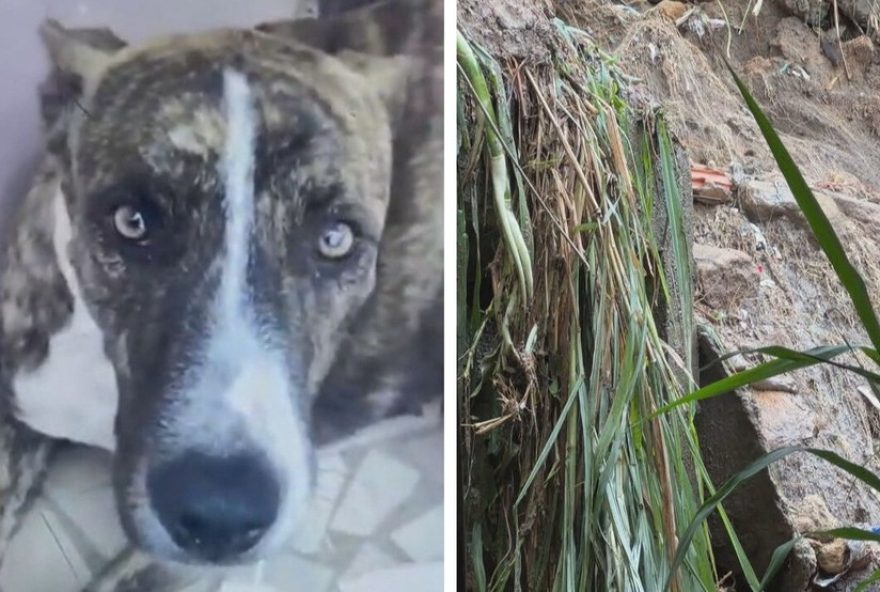 chuva-no-rio3A-deslizamento-mata-cachorra-e-casa-e-interditada-no-alemao