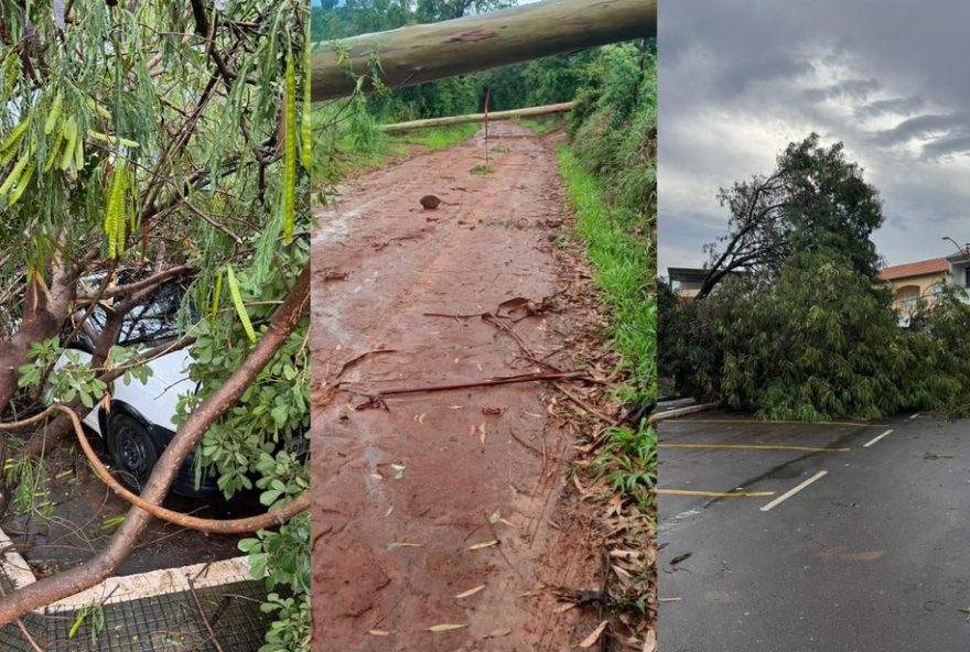 chuva-provoca-estragos-em-paraguacu2C-mg3A-arvores-caidas-e-danos-a-rodoviaria