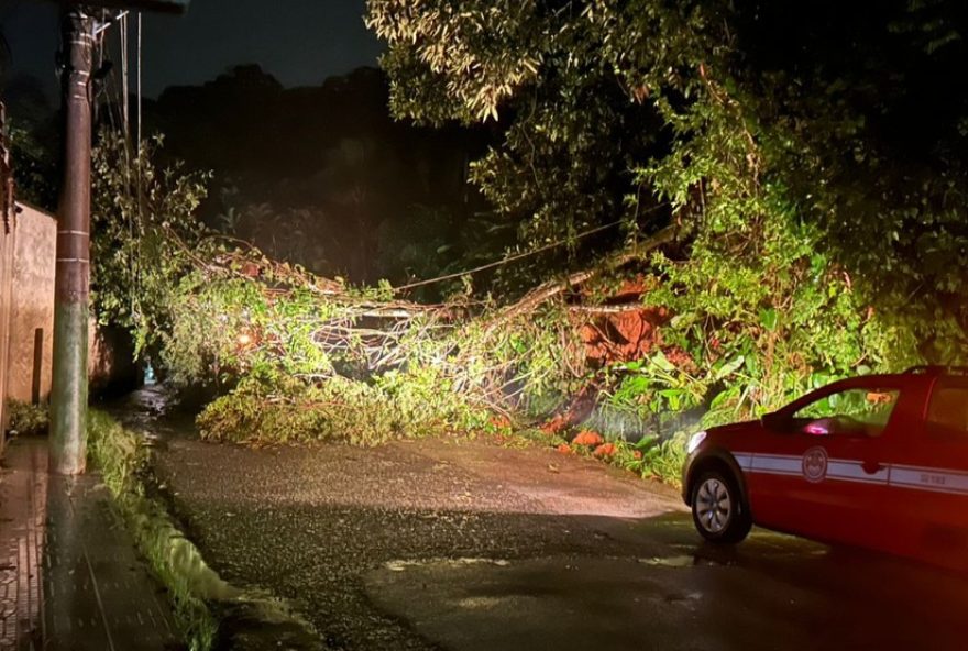 chuva-provoca-quedas-de-arvores-e-postes-em-ubatuba2C-sp-fotos-e-videos chuva-provoca-quedas-de-arvores-e-postes-em-ubatuba2C-sp-fotos-e-videos