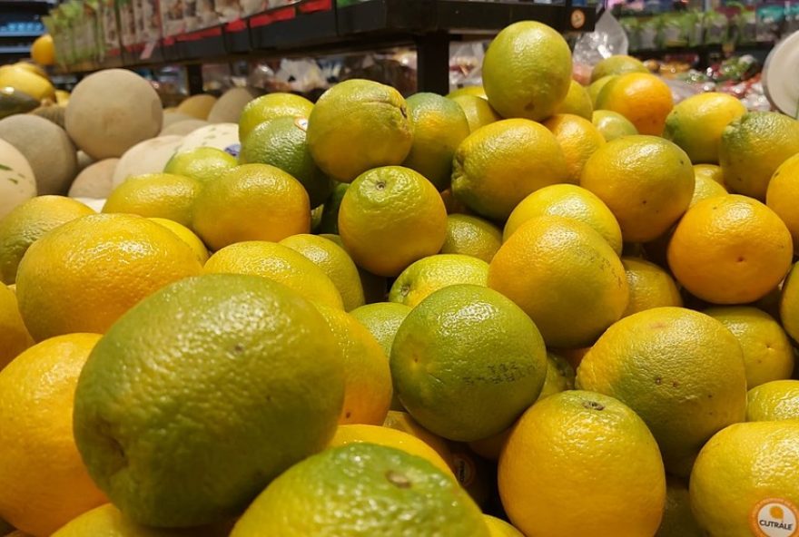 chuvas-afetam-mercado-de-laranjas-em-sp3A-queda-na-qualidade-das-frutas-preocupa2C-aponta-analise-da-usp-em-piracicaba chuvas-afetam-mercado-de-laranjas-em-sp3A-queda-na-qualidade-das-frutas-preocupa2C-aponta-analise-da-usp-em-piracicaba