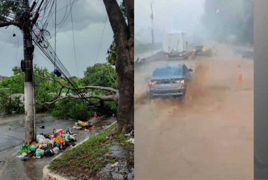 chuvas-intensas-causam-estragos-em-sao-paulo3A-saiba-como-se-prevenir-e-colaborar chuvas-intensas-causam-estragos-em-sao-paulo3A-saiba-como-se-prevenir-e-colaborar
