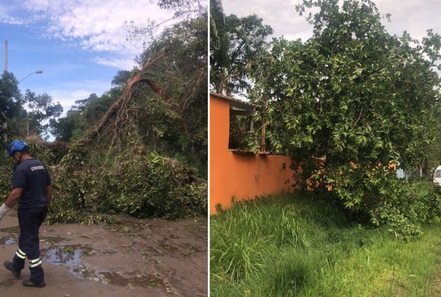 ciclone-extratropical-causa-estragos-no-litoral-de-sp3B-ventos-de-99km2Fh-e-alerta-de-chuvas-intensas.-veja