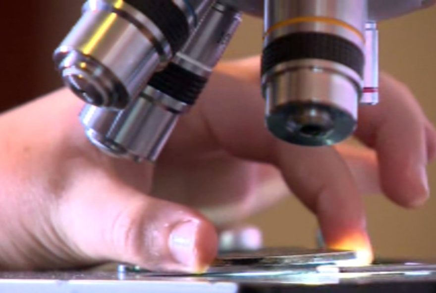 ciencia-no-parque3A-evento-gratuito-promove-interacao-entre-academia-e-comunidade