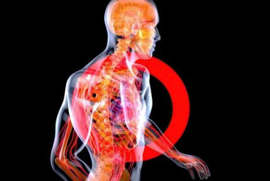 cientistas-descobrem-interruptor-secreto-do-corpo-que-desliga-inflamacoes cientistas-descobrem-interruptor-secreto-do-corpo-que-desliga-inflamacoes