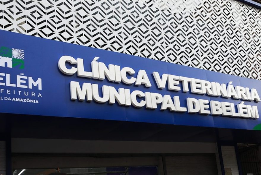 clinica-veterinaria-em-belem-oferece-atendimento-gratuito-para-caes-e-gatos