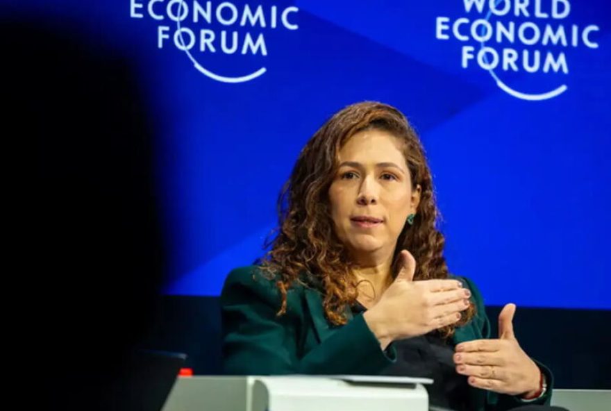 cnu-aumentou-diversidade-no-servico-publico2C-destaca-esther-dweck cnu-aumentou-diversidade-no-servico-publico2C-destaca-esther-dweck