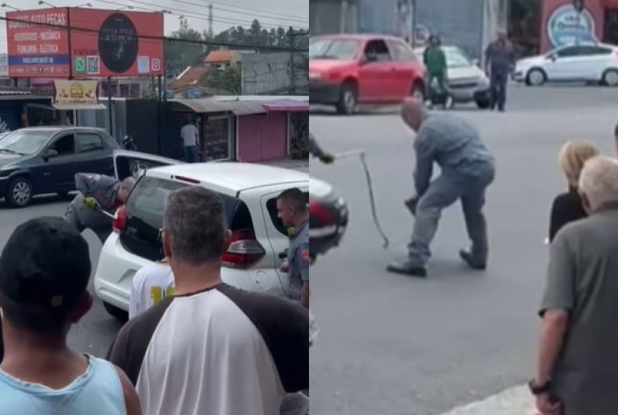 cobra-e-encontrada-dentro-de-carro-em-sao-bernardo-do-campo3A-veja-o-video-da-operacao-dos-bombeiros