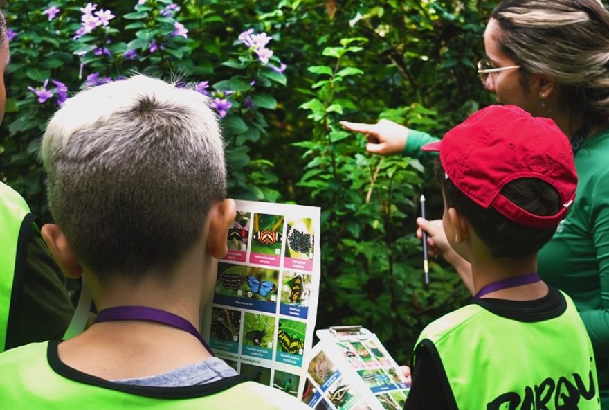 colonia-de-ferias-na-mata-atlantica3A-5-tardes-de-diversao-e-aprendizado-no-parque-das-aves