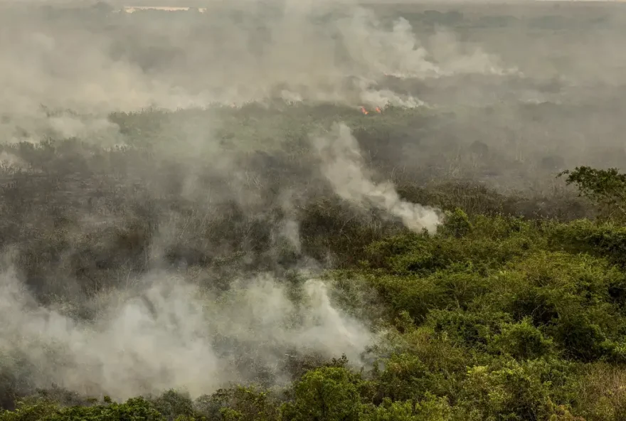 As frentes de combate aos incêndios no Pantanal foram reforçadas, com a chegada de mais uma equipe da Força Nacional a Corumbá