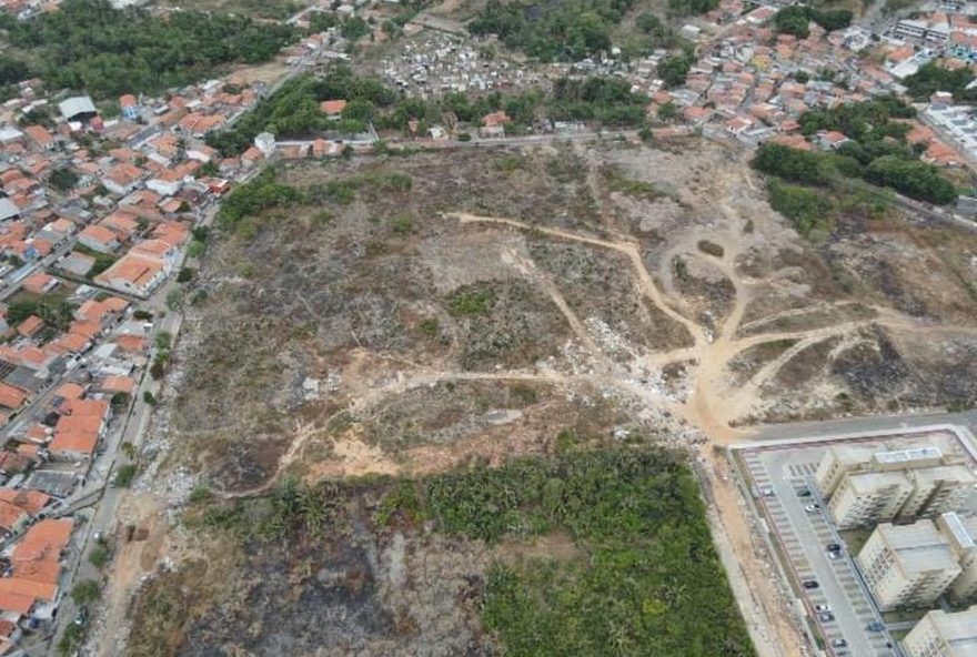 comerciante-e-intimado-por-queima-de-madeira-para-fabricar-carvao-em-sao-luis3A-policia-civil-age-para-combater-poluicao-ambiental