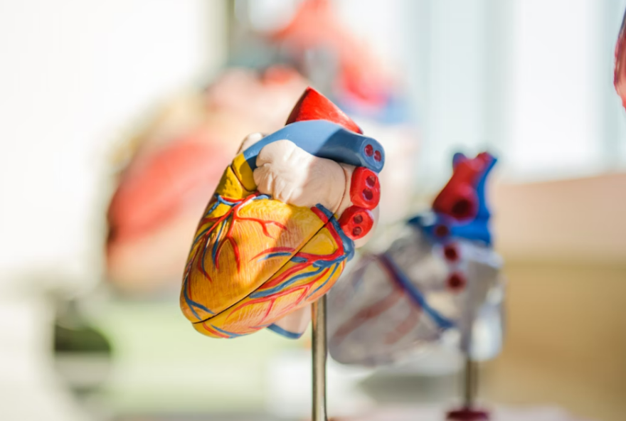 como-o-habito-de-dormir-tarde-pode-aumentar-o-risco-de-infarto-e-avc como-o-habito-de-dormir-tarde-pode-aumentar-o-risco-de-infarto-e-avc