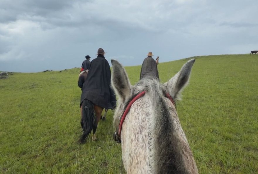 como-relacao-entre-pais-e-filhos-fortalece-os-rodeios-crioulos-no-rs como-relacao-entre-pais-e-filhos-fortalece-os-rodeios-crioulos-no-rs