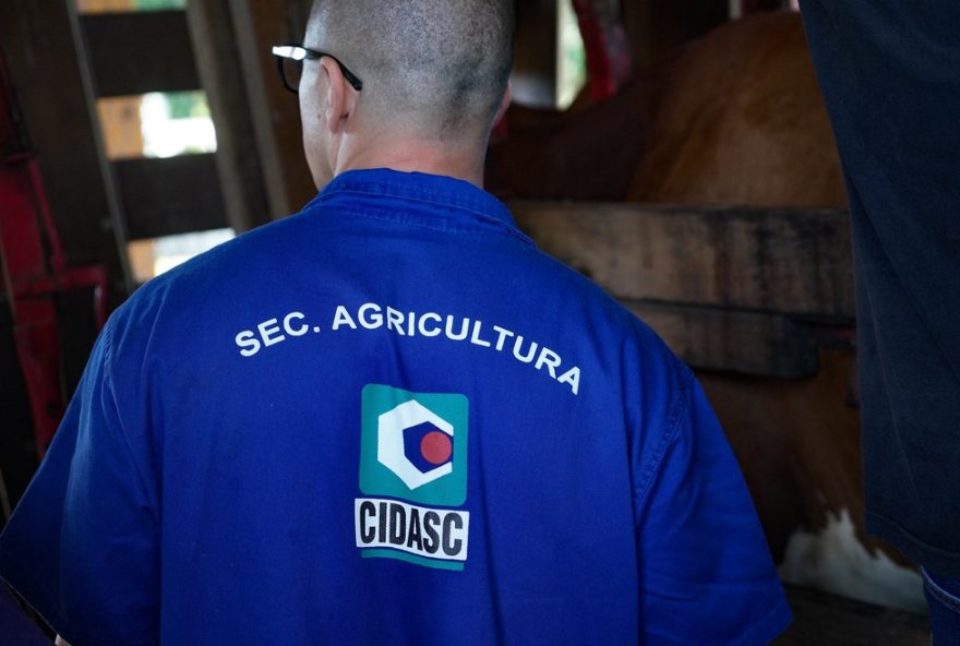 concurso-cidasc3A-preenchimento-de-28-vagas-em-florianopolis-com-salarios-de-ate-r24122C5-mil concurso-cidasc3A-preenchimento-de-28-vagas-em-florianopolis-com-salarios-de-ate-r24122C5-mil