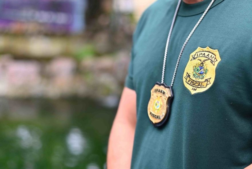 concurso-ipaam3A-inscricoes-ate-302F02-para-analistas-ambientais-salarios-de-ate-r24-112C6-mil.-prepare-se-para-as-provas-em-manaus concurso-ipaam3A-inscricoes-ate-302F02-para-analistas-ambientais-salarios-de-ate-r24-112C6-mil.-prepare-se-para-as-provas-em-manaus