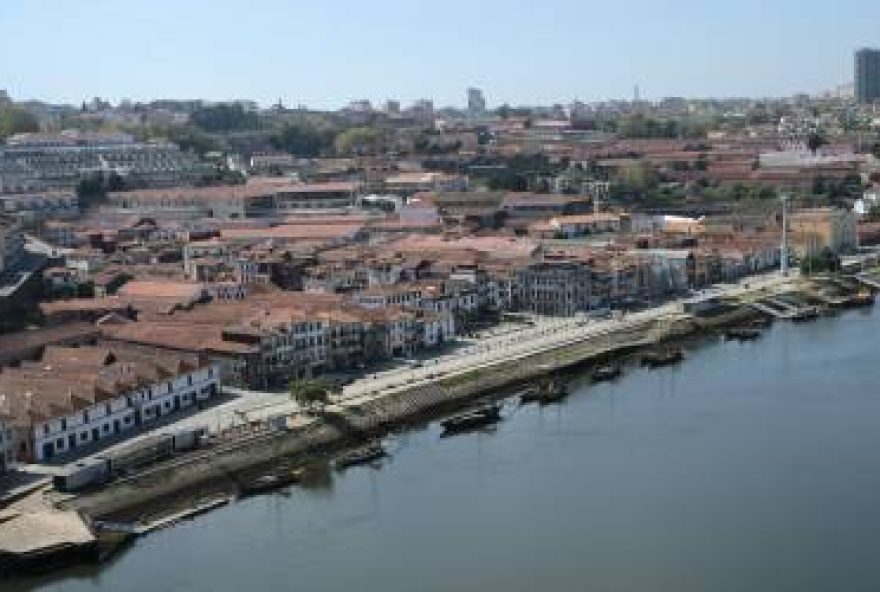 condutor-que-atropelou-mortalmente-homem-em-gaia-se-entrega-a-psp condutor-que-atropelou-mortalmente-homem-em-gaia-se-entrega-a-psp