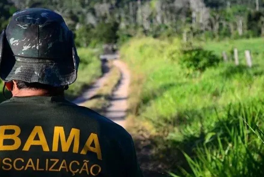 conflito-entre-chefia-e-tecnicos-do-ibama-sobre-resgate-animal-na-foz-do-amazonas