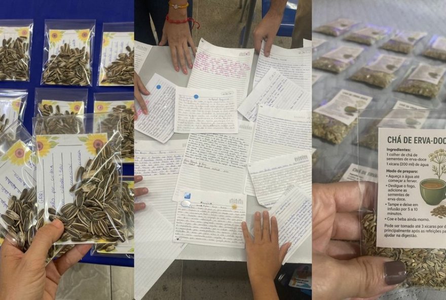 conheca-o-projeto-girassois3A-valorizacao-da-economia-solidaria-em-quixeramobim2C-ceara