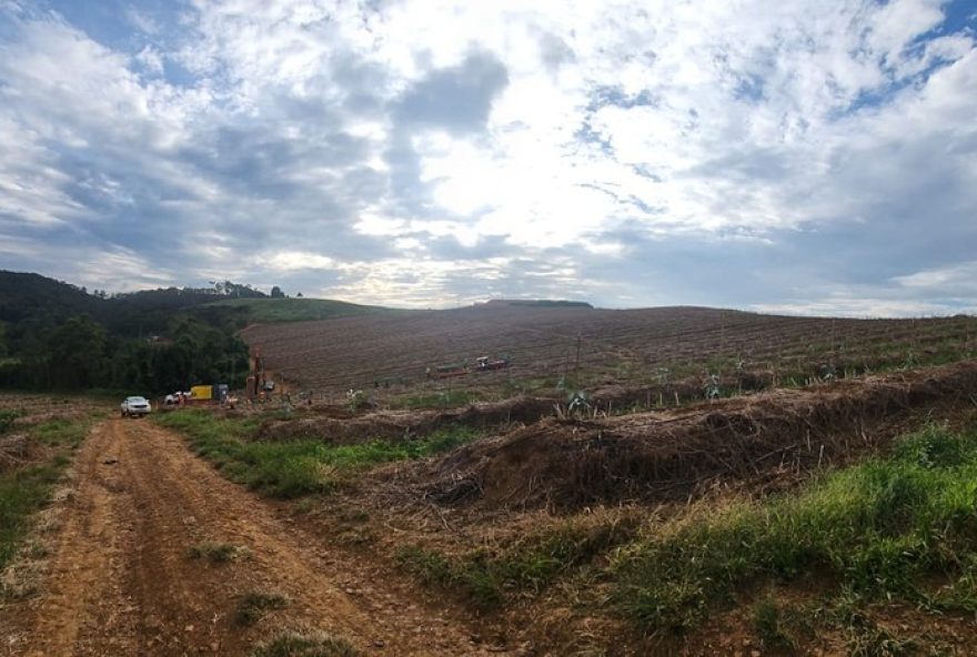 conselho-autoriza-mineracao-de-terras-raras-em-area-de-protecao-ambiental-em-caldas3A-meteoric-recebe-anuencia-do-congeapa