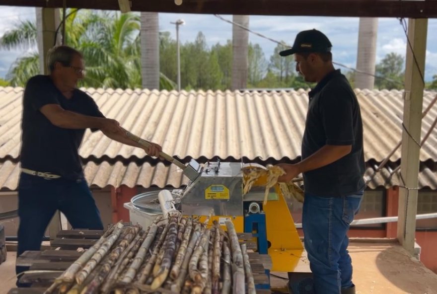 cooperativismo-no-agronegocio-paulista3A-impacto-e-oportunidades-para-produtores-e-sociedade