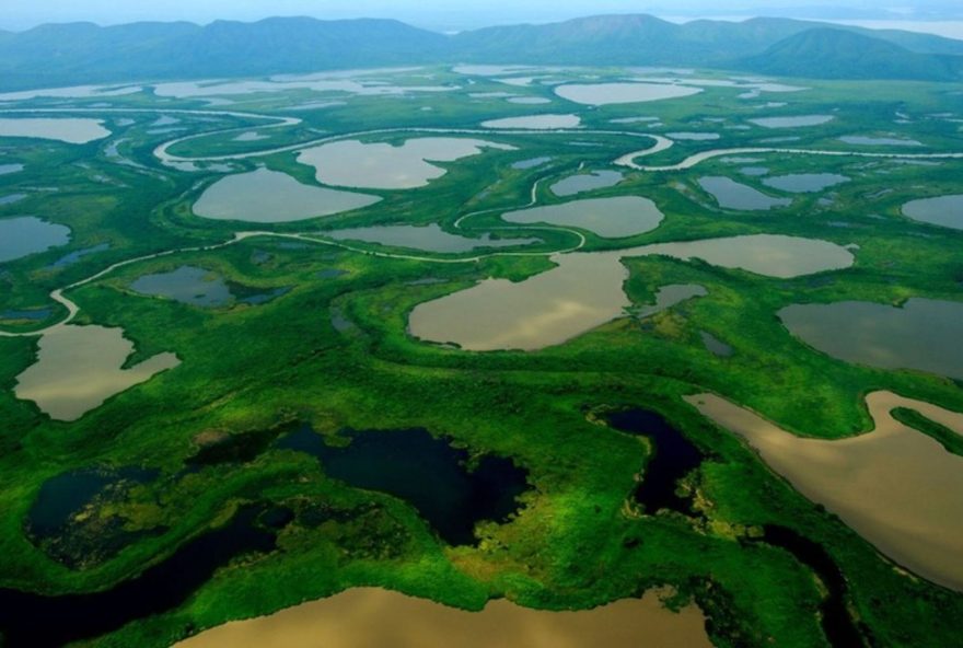cop-15-anuncia-ampliacao-de-areas-protegidas-no-pantanal-e-criacao-de-nova-unidade-no-cerrado cop-15-anuncia-ampliacao-de-areas-protegidas-no-pantanal-e-criacao-de-nova-unidade-no-cerrado