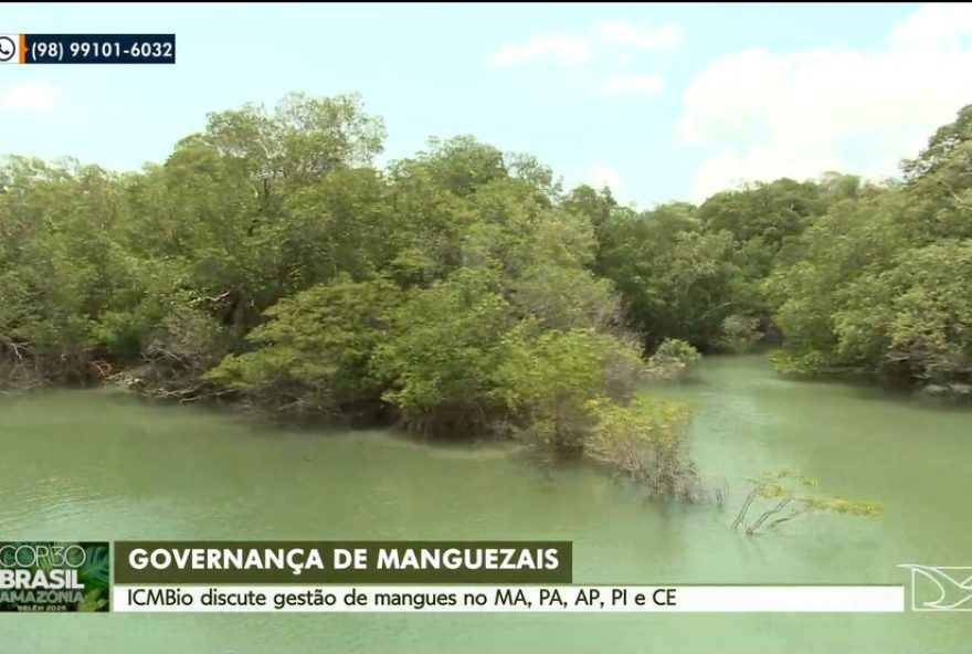 cop-303A-maranhao-lidera-gestao-compartilhada-dos-manguezais-amazonicos cop-303A-maranhao-lidera-gestao-compartilhada-dos-manguezais-amazonicos