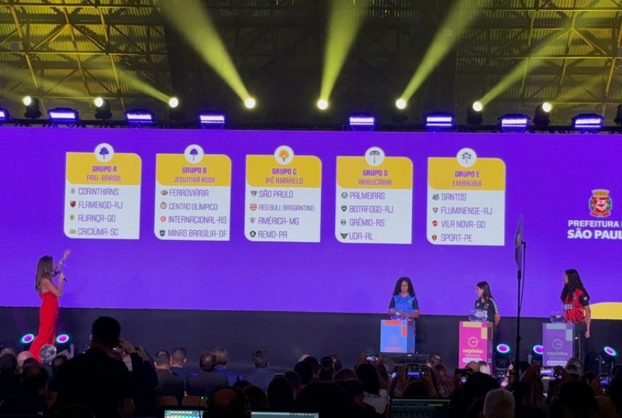 copa-feminina-de-futebol-20253A-acao-de-plantio-de-arvores-e-jogos-emocionantes-em-sao-paulo