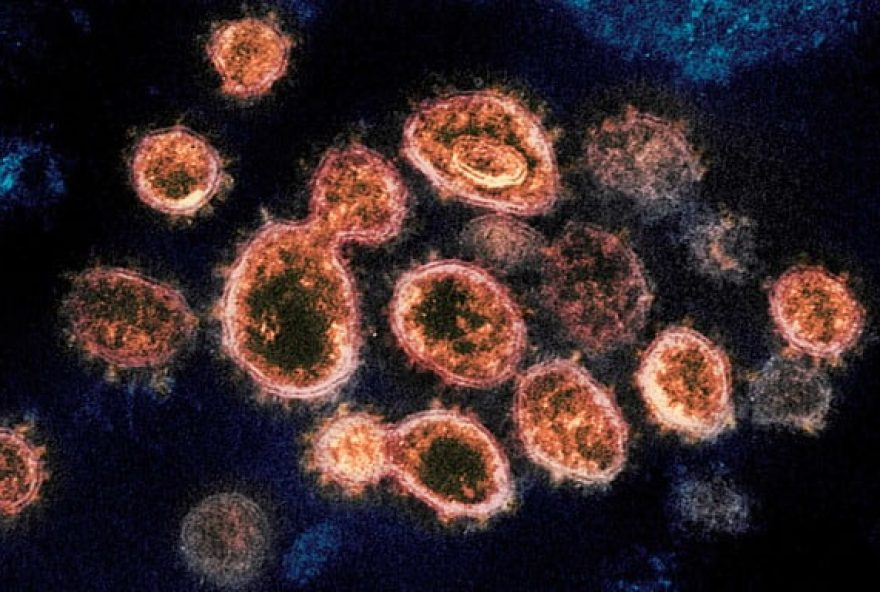 coronavirus