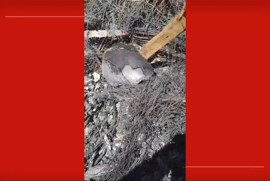 corpo-carbonizado-e-encontrado-na-area-rural-do-sol-nascente2C-no-df3A-suspeito-preso-e-policia-investiga-possiveis-outros-corpos-enterrados corpo-carbonizado-e-encontrado-na-area-rural-do-sol-nascente2C-no-df3A-suspeito-preso-e-policia-investiga-possiveis-outros-corpos-enterrados