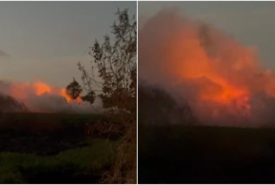 corpo-de-bombeiros-de-fortaleza-atua-no-combate-a-incendio-em-vegetacao-proximo-ao-rio-coco