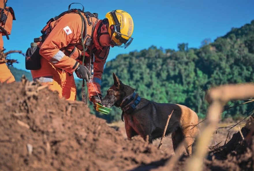 corpo-de-bombeiros-militar-de-minas-gerais-abre-342-vagas-em-concurso-publico-com-salarios-de-ate-r24-11-mil corpo-de-bombeiros-militar-de-minas-gerais-abre-342-vagas-em-concurso-publico-com-salarios-de-ate-r24-11-mil