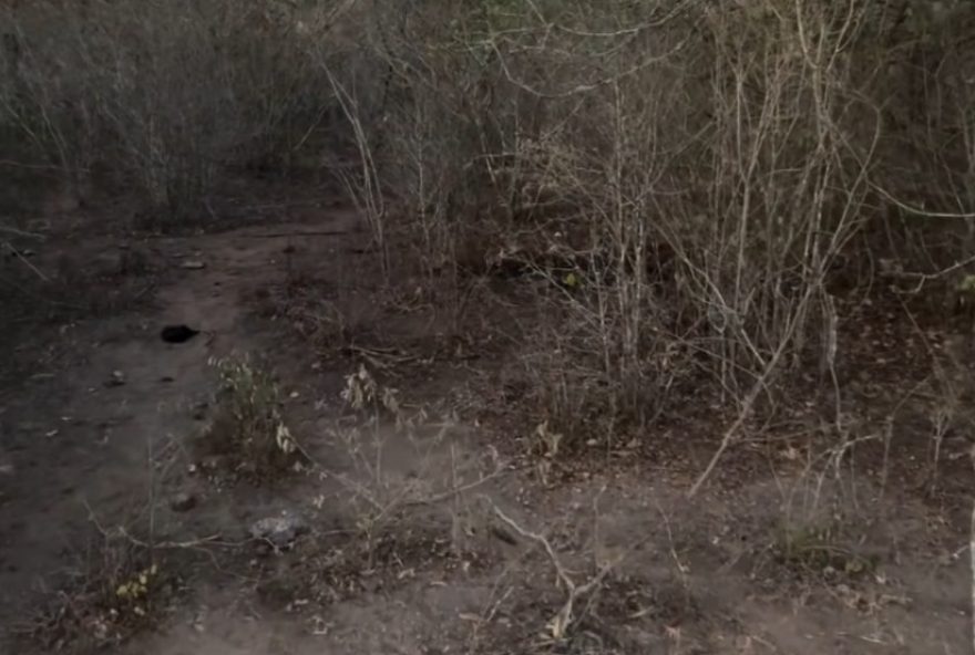 corpo-de-gravida-desaparecida-e-achado-em-sao-bento-do-una3A-suspeito-e-preso corpo-de-gravida-desaparecida-e-achado-em-sao-bento-do-una3A-suspeito-e-preso