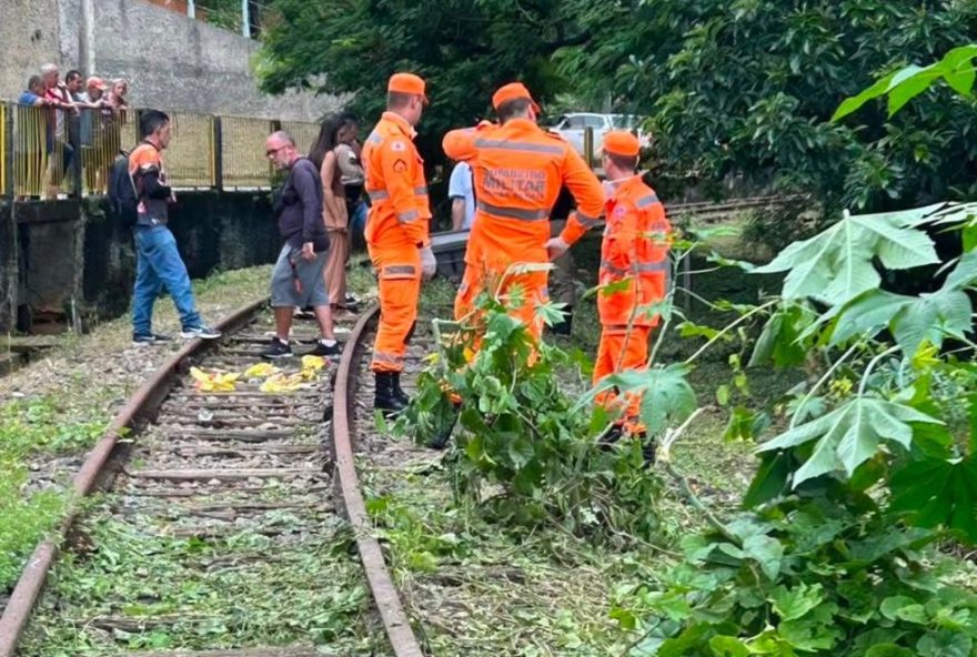 corpo-de-homem-desaparecido-e-encontrado-em-linha-de-trem-desativada-em-cataguases3A-autoridades-investigam