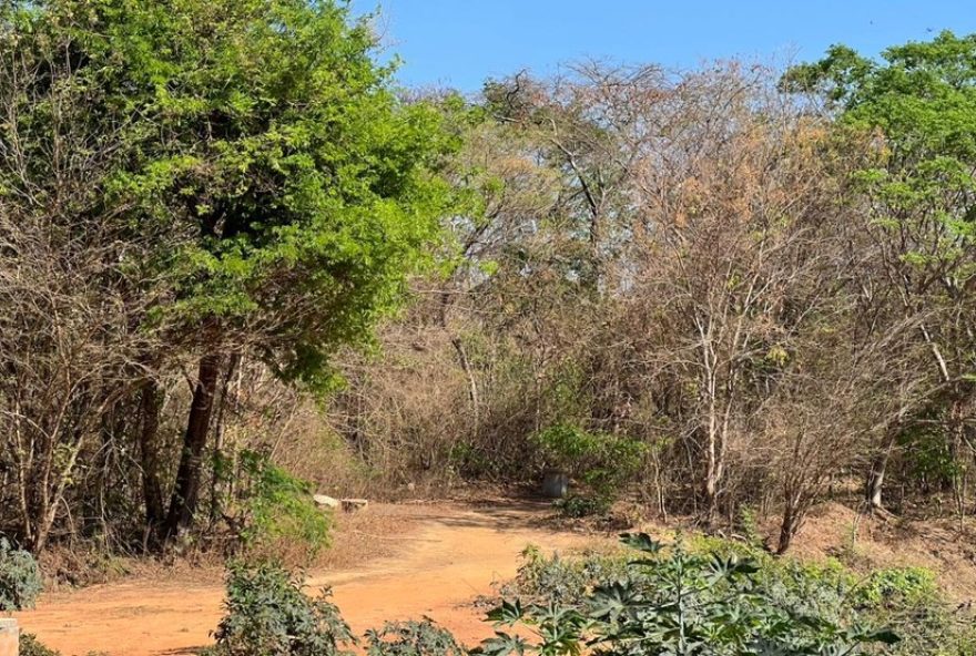 corpos-incendiados-em-montes-claros3A-informacoes-sobre-vitimas-e-investigacao-em-andamento