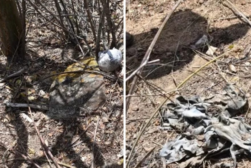 cranio-humano-encontrado-na-zona-rural-de-paranatama3A-descoberta-levanta-questoes-e-investigacoes-estao-em-andamento